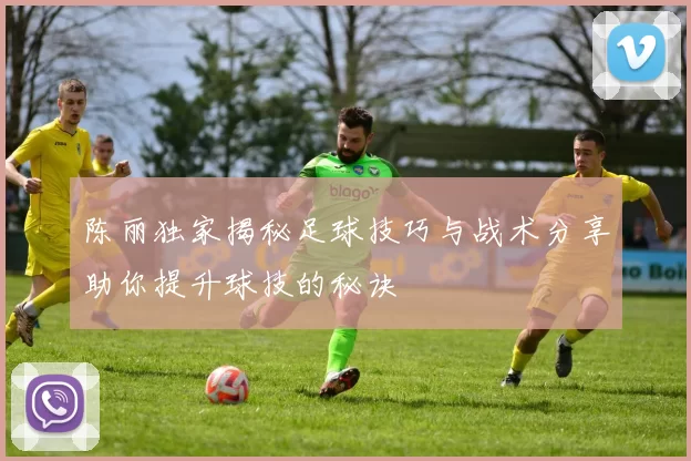 陈丽独家揭秘足球技巧与战术分享助你提升球技的秘诀