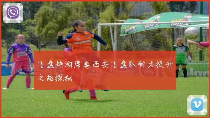 飞盘热潮席卷西安飞盘队耐力提升之路探秘