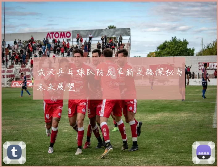 武汉乒乓球队防反革新之路探秘与未来展望
