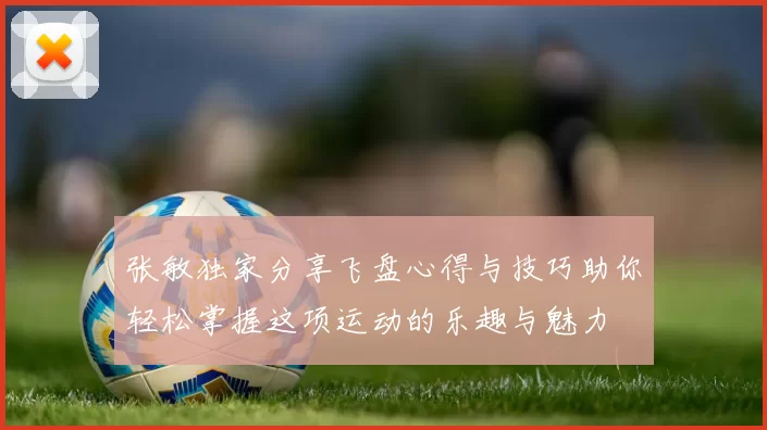 张敏独家分享飞盘心得与技巧助你轻松掌握这项运动的乐趣与魅力