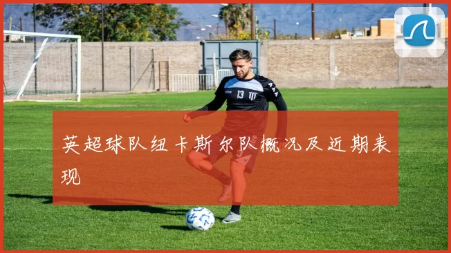 英超球队纽卡斯尔队概况及近期表现