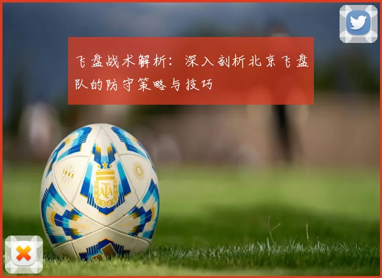 飞盘战术解析：深入剖析北京飞盘队的防守策略与技巧