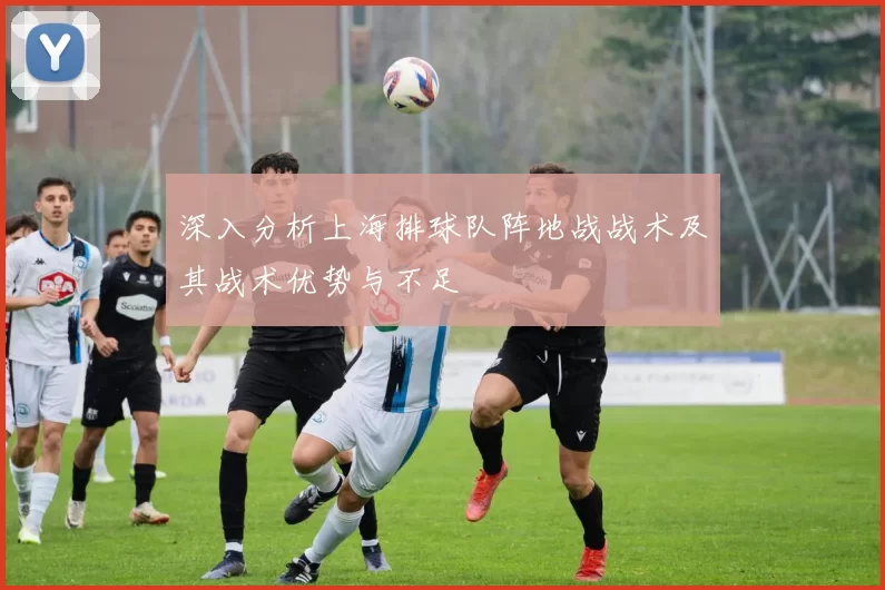 深入分析上海排球队阵地战战术及其战术优势与不足