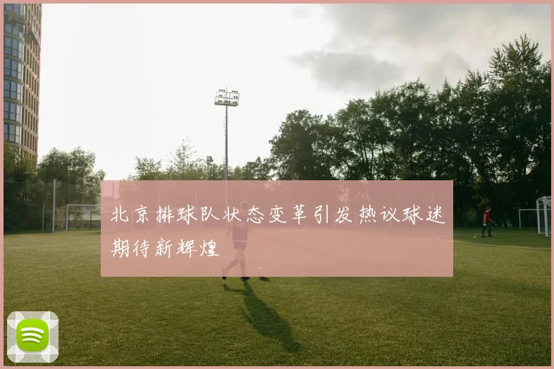 北京排球队状态变革引发热议球迷期待新辉煌