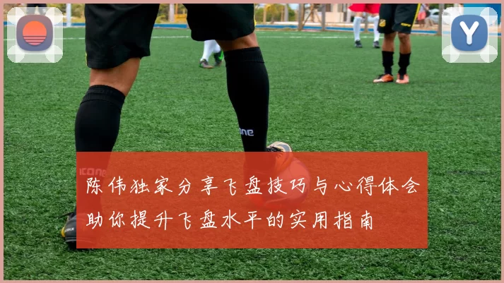 陈伟独家分享飞盘技巧与心得体会助你提升飞盘水平的实用指南