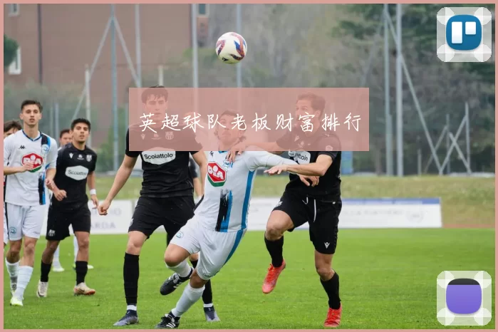 英超球队老板财富排行