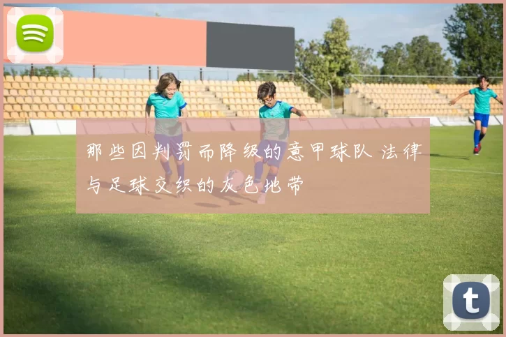 那些因判罚而降级的意甲球队 法律与足球交织的灰色地带