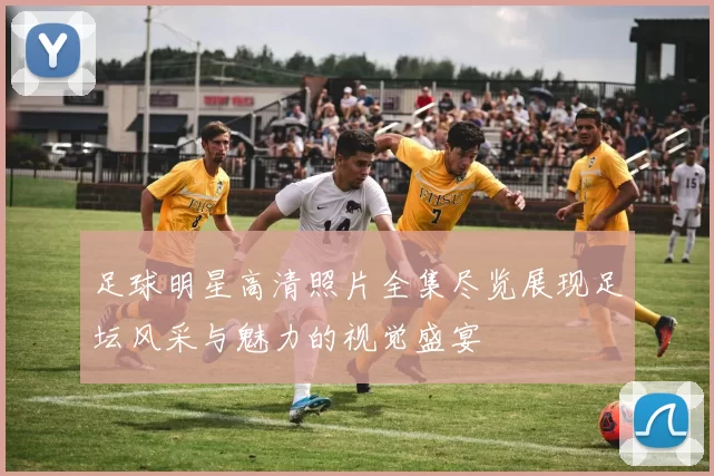 足球明星高清照片全集尽览展现足坛风采与魅力的视觉盛宴