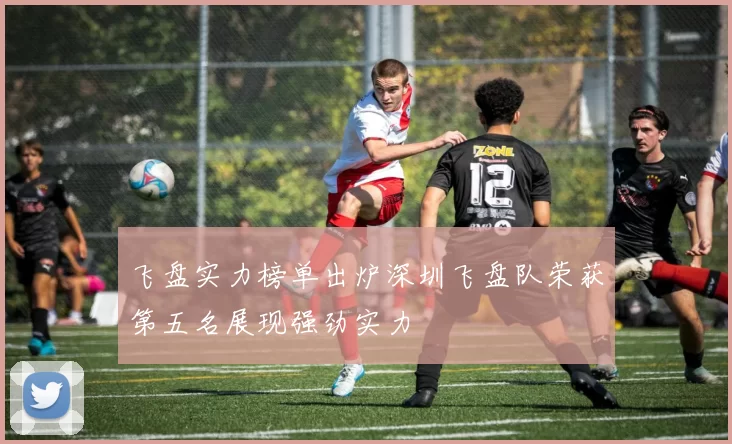 飞盘实力榜单出炉深圳飞盘队荣获第五名展现强劲实力
