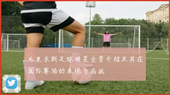 毛里求斯足球明星全景介绍及其在国际赛场的表现与成就