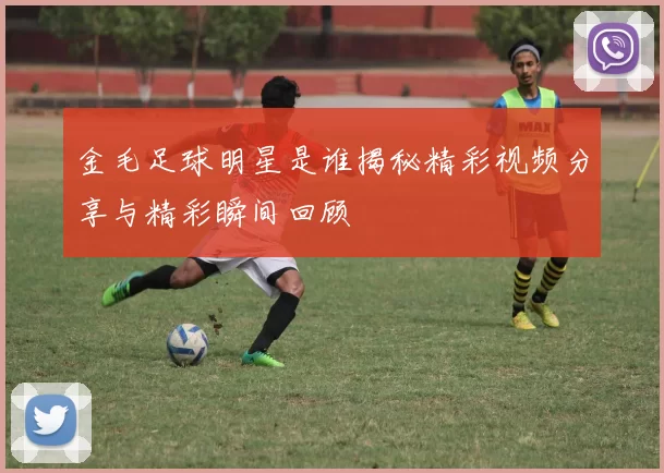 金毛足球明星是谁揭秘精彩视频分享与精彩瞬间回顾