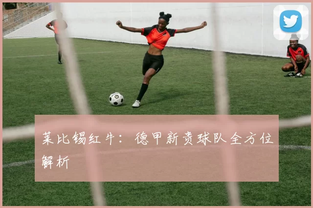 莱比锡红牛：德甲新贵球队全方位解析