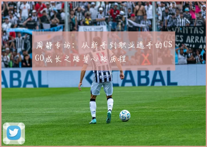 周静专访：从新手到职业选手的CSGO成长之路与心路历程