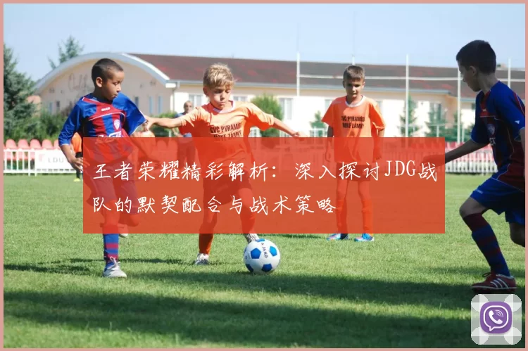 王者荣耀精彩解析：深入探讨JDG战队的默契配合与战术策略