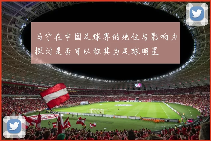 马宁在中国足球界的地位与影响力探讨是否可以称其为足球明星