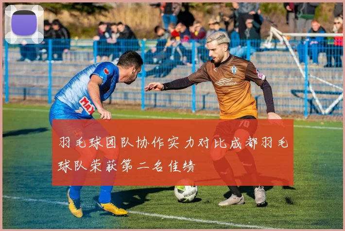 羽毛球团队协作实力对比成都羽毛球队荣获第二名佳绩