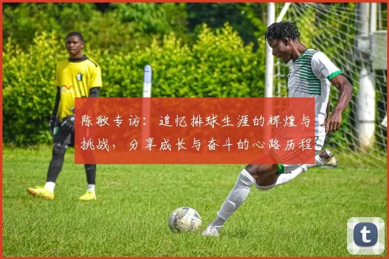 陈敏专访：追忆排球生涯的辉煌与挑战，分享成长与奋斗的心路历程
