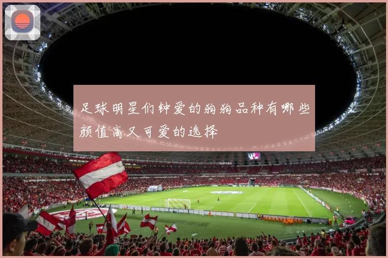 足球明星们钟爱的狗狗品种有哪些颜值高又可爱的选择